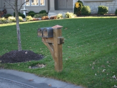 mailbox5